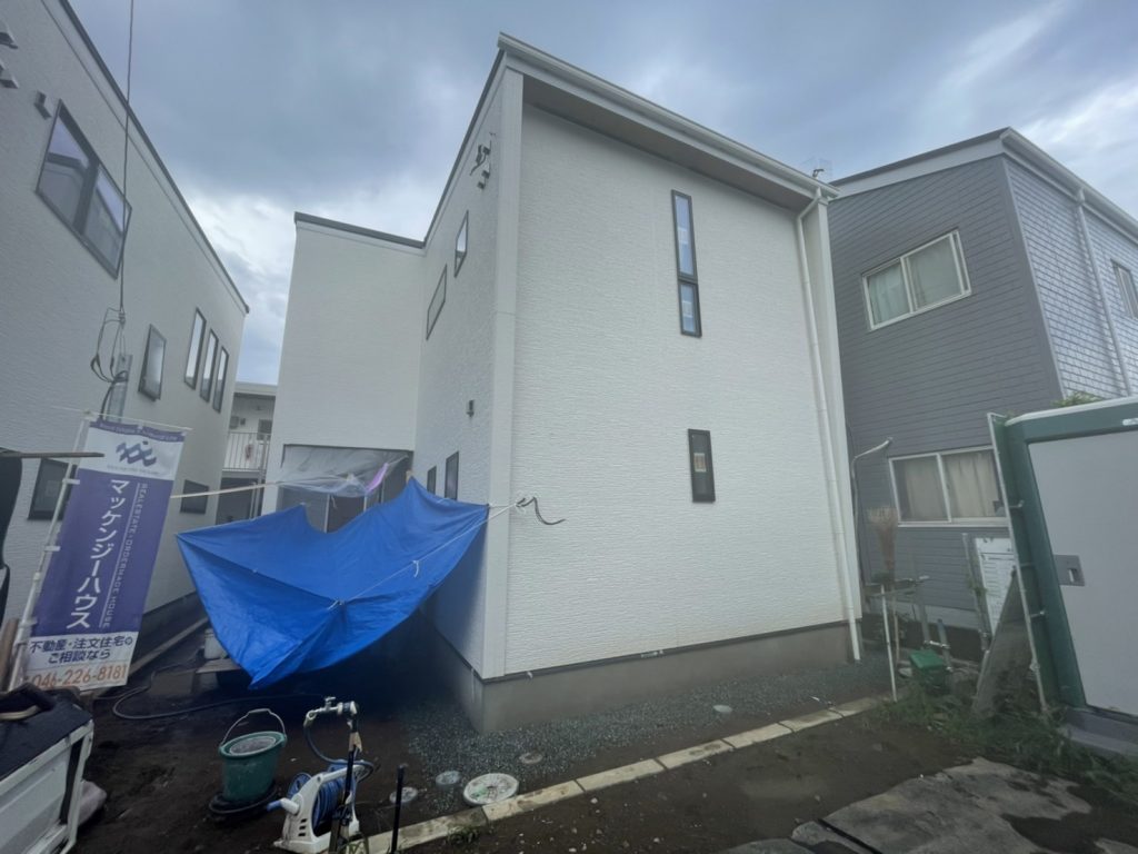s__20545541