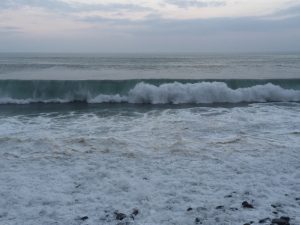 IMG_4348