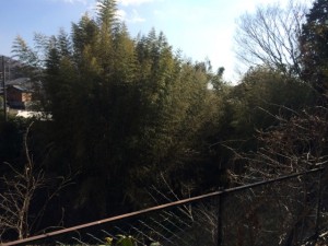 IMG_0203