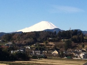 IMG_1679