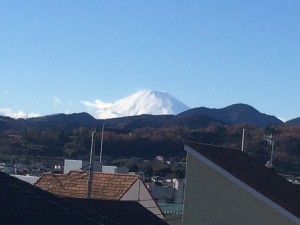 IMG_1661