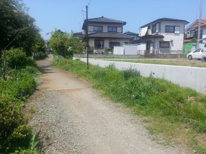 IMG_20150427_104742