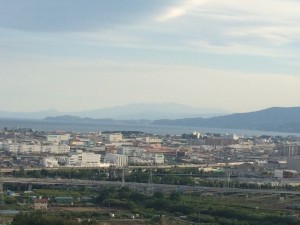 IMG_2247