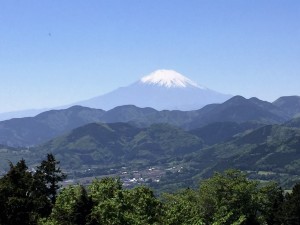 IMG_0587