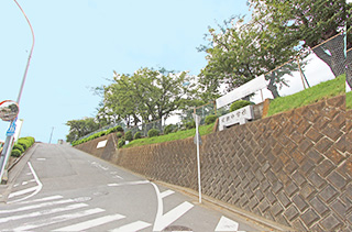 Image description