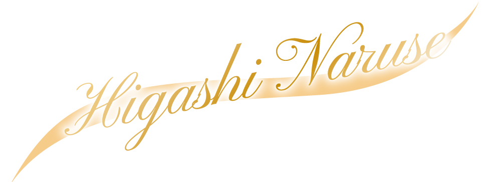 Higashinaruse