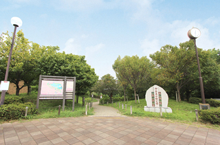 今泉名水桜公園…約95Ｍ