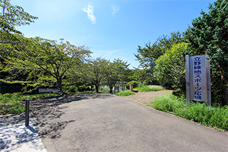 立野緑地スポーツ広場…約175M