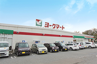 ヨークマート西大竹店…約605M