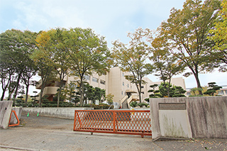 南が丘小学校…約935M
