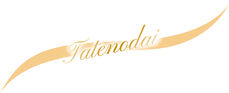Tachinodai1