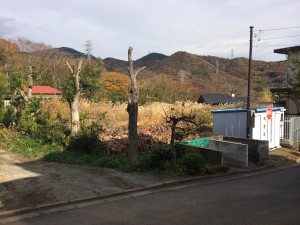 現地写真