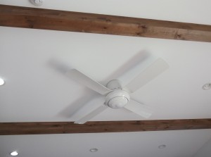 DSCF6550