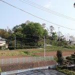 DSCF6710