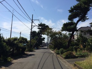 IMG_2787