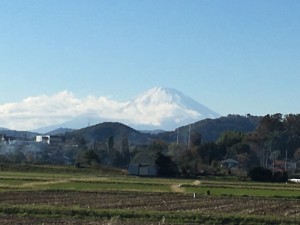 IMG_2932