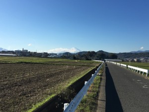 IMG_2933