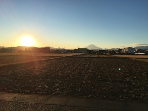 IMG_3205