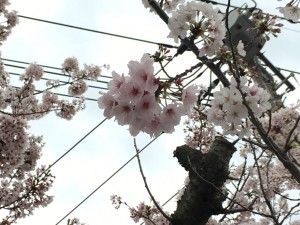 IMG_3840