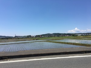 IMG_4545