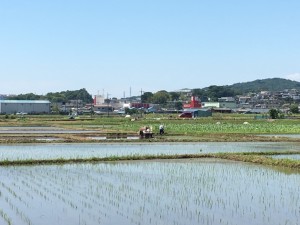 IMG_4546