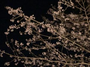 image0