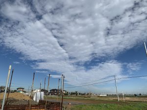 img_2305