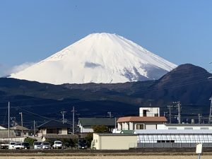 img_2540