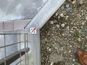 img_3243