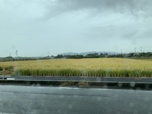 img_3498