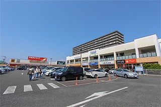 フレスポ茅ヶ崎店…約520M