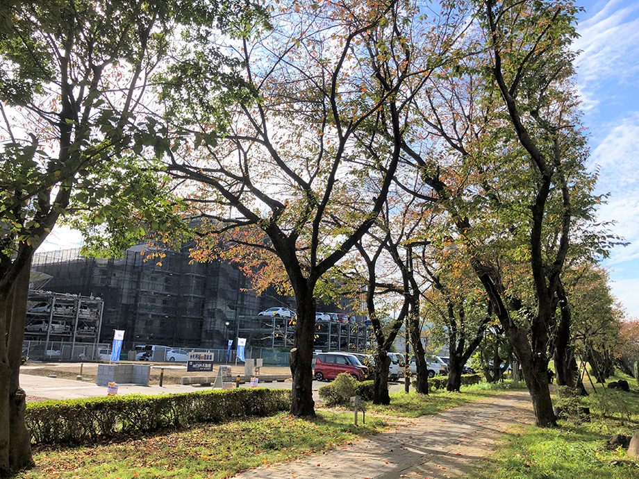 【販売現地】※令和2年11月8日撮影