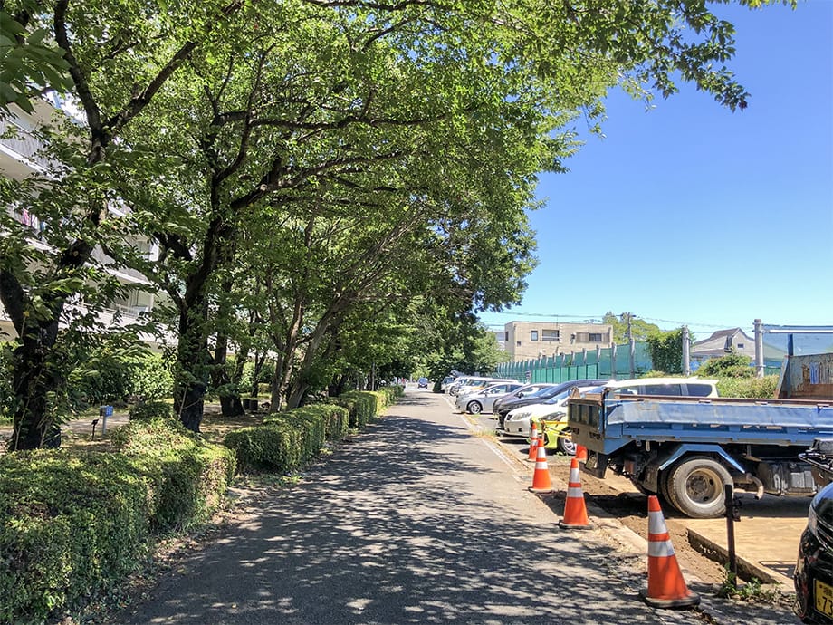 【前面道路】 ※令和2年9月3日撮影