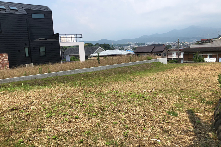 【販売現地】※令和元年7月25日撮影