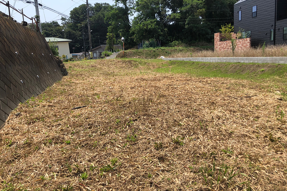 【販売現地】※令和元年7月25日撮影