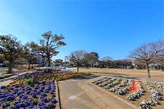 なでしこ公園…約500M