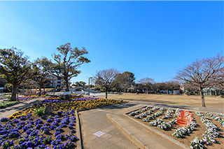 なでしこ公園…約500M