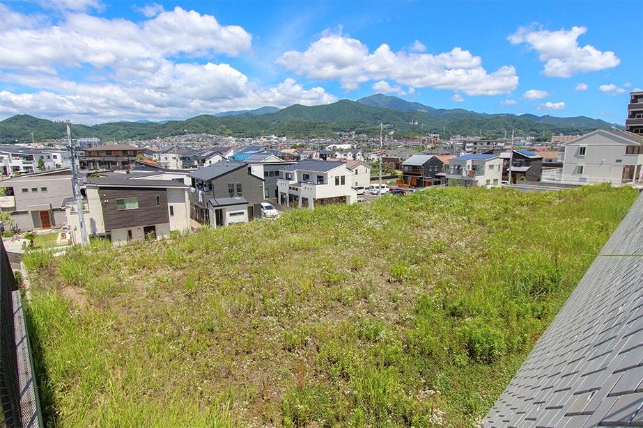 【販売現地】※平成30年6月19日撮影