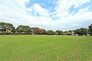 平塚市総合公園…約490M