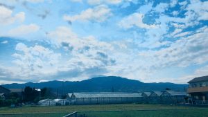 img_1795