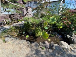 img_8063
